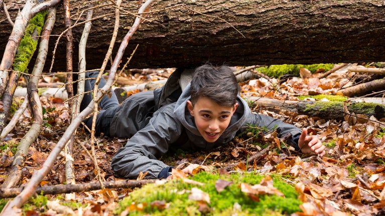 Boy playing in the woods at Sheffield Park and Garden, East Sussex